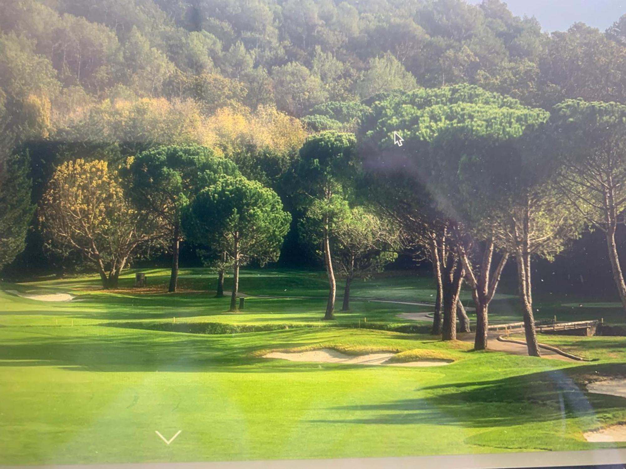 Villa Nomade Proche De Cannes Vallauris Eksteriør billede